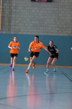 Bild 338 - Frauen OL TuS Esingen - SG Niendorf/Wandsetal : Ergebnis: 24:17